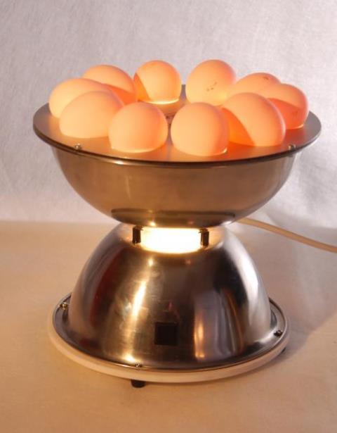 Прибор для определения качества яиц «Овоскоп Люкс» - фото 1 - id-p226441819