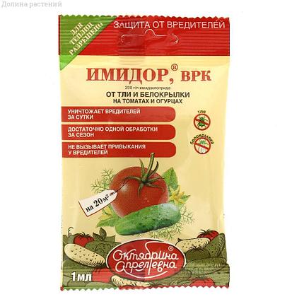 Имидор, ВРК  огурцы,томаты (от тли и белокрылки), пак. 1 мл, фото 2