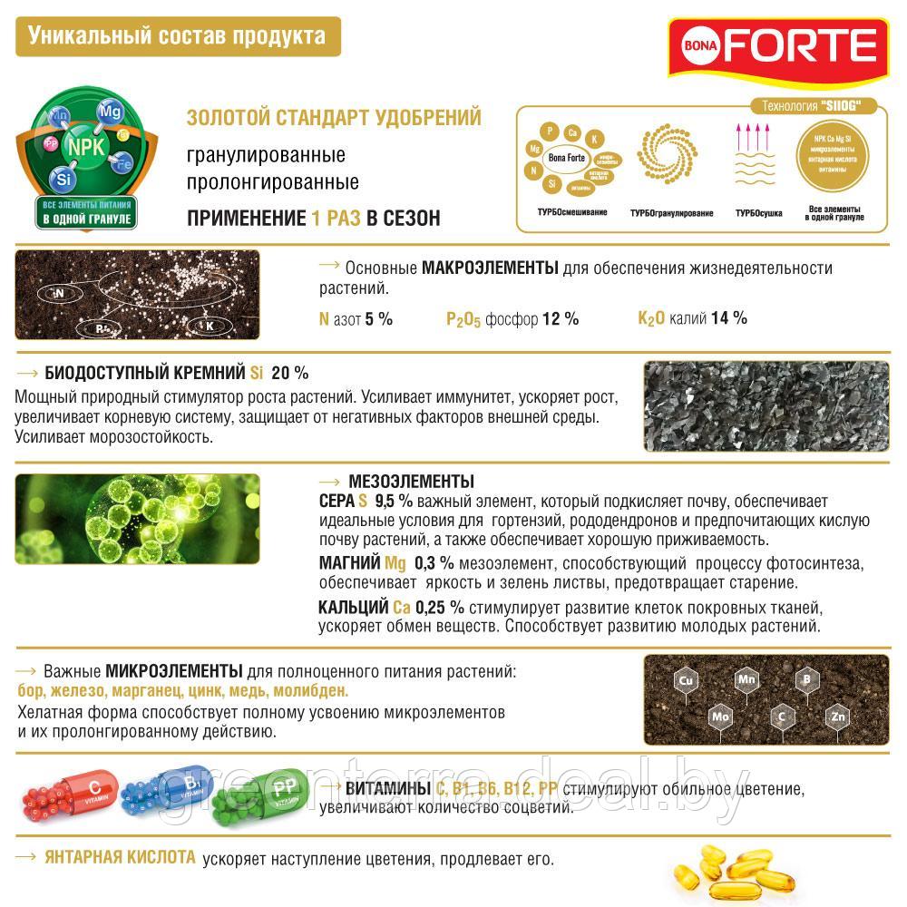 Удобрение пролонгированное Bona Forte "Для гортензий и рододендронов" 2.5кг - фото 6 - id-p226475078