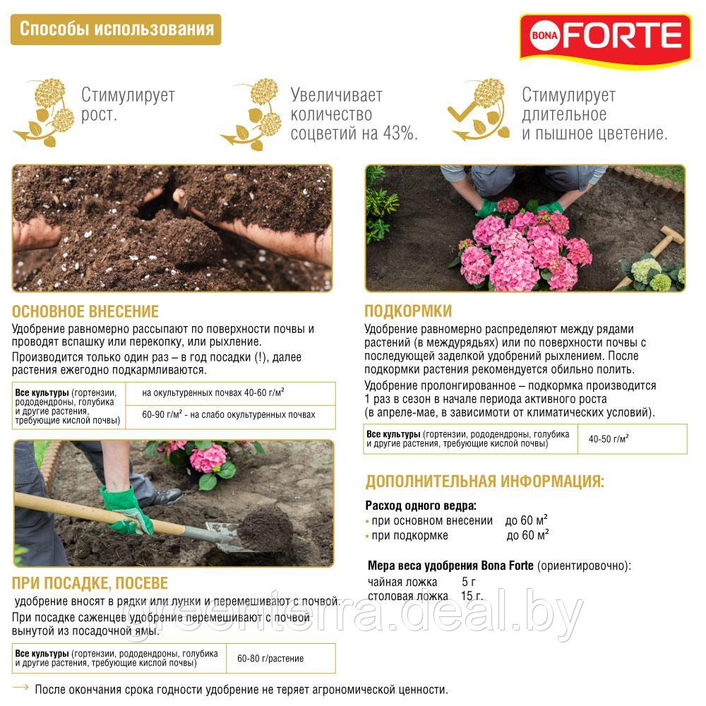 Удобрение пролонгированное Bona Forte "Для гортензий и рододендронов" 2.5кг - фото 7 - id-p226475078
