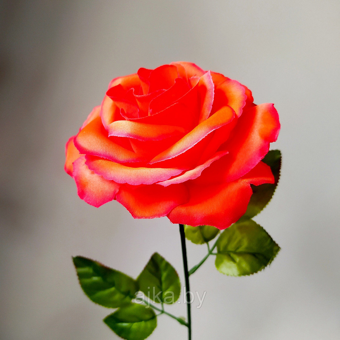 Роза одиночная 65 см, ярко-красный