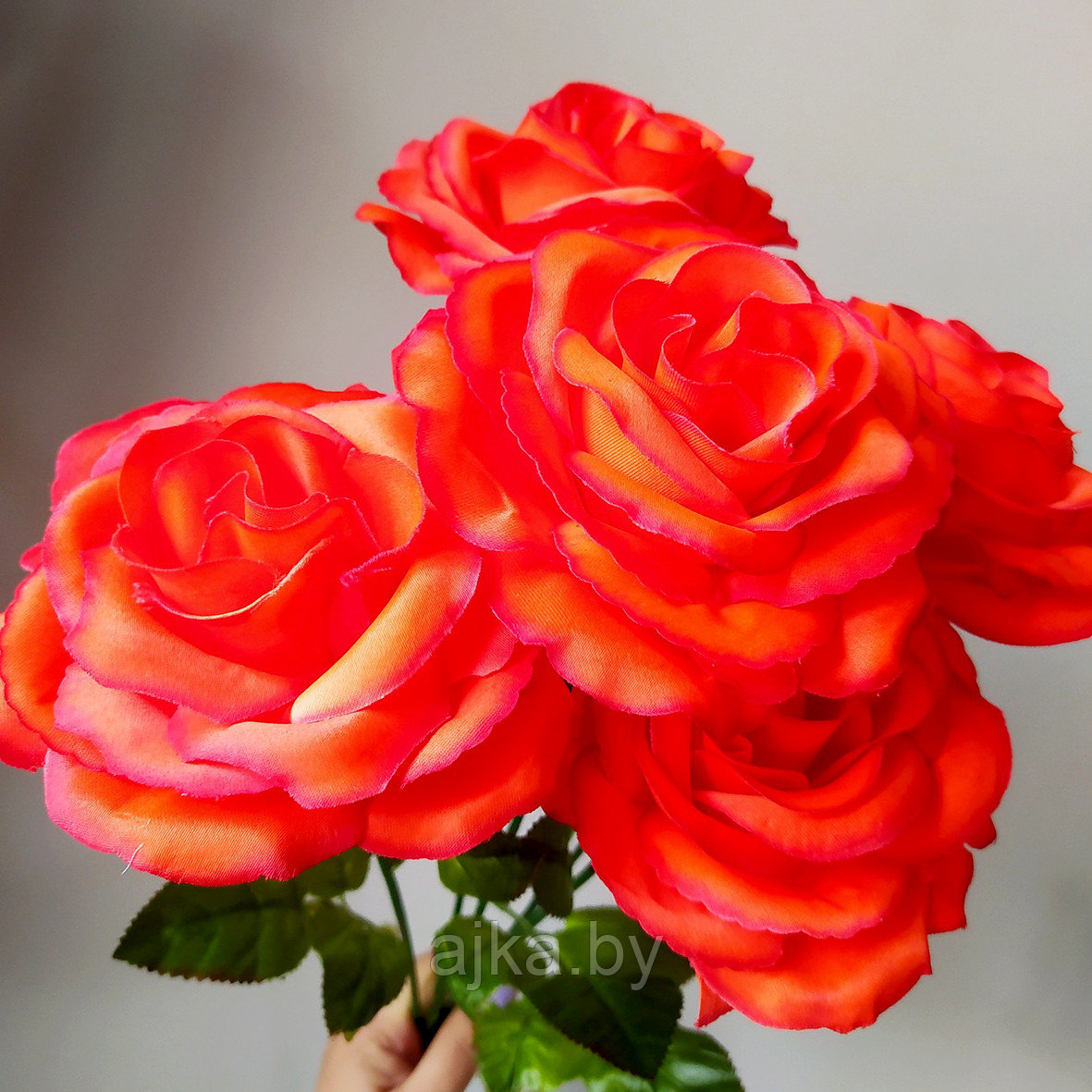 Роза одиночная 65 см, ярко-красный - фото 6 - id-p226488037