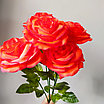 Роза одиночная 65 см, ярко-красный, фото 5