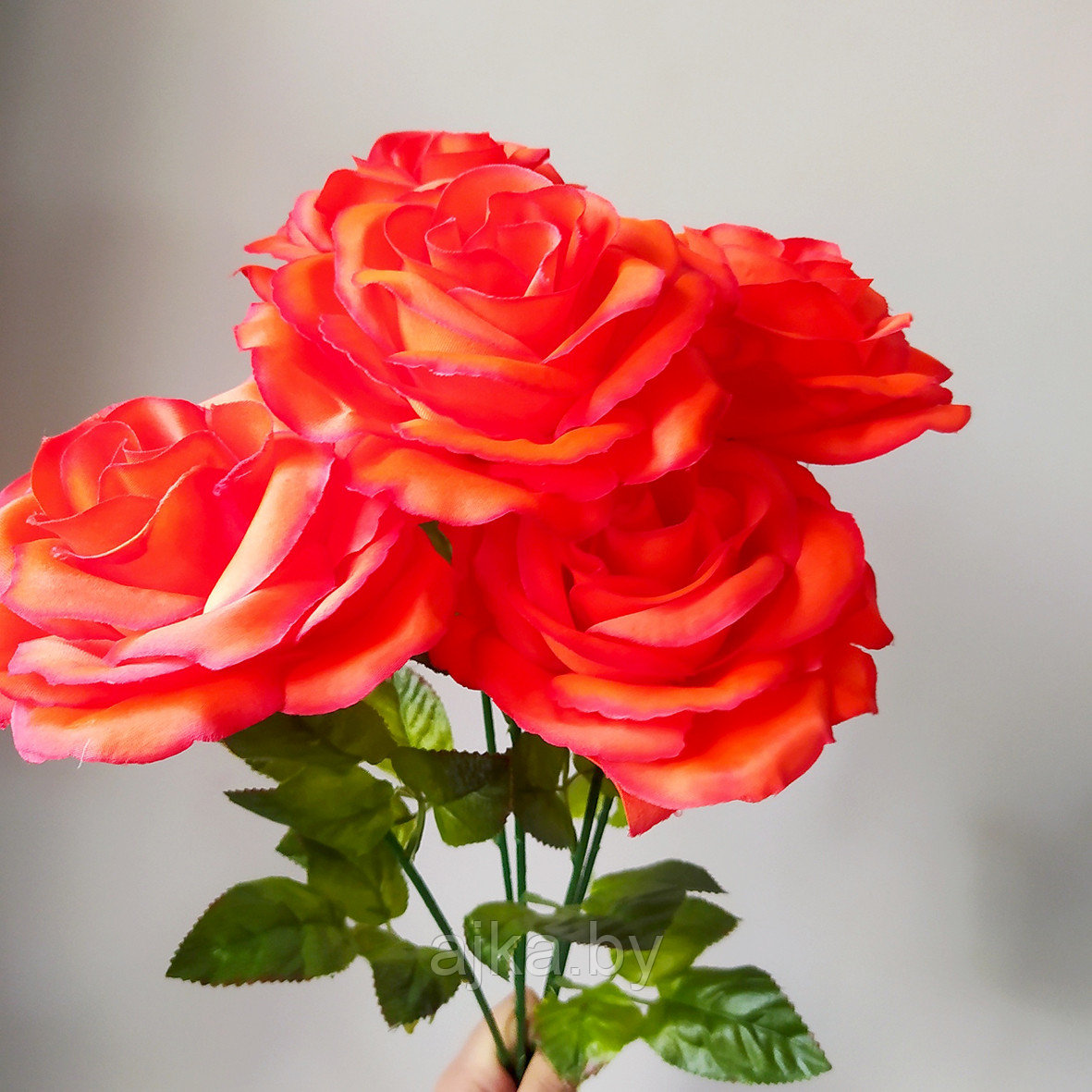 Роза одиночная 65 см, ярко-красный - фото 5 - id-p226488037