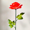 Роза одиночная 65 см, ярко-красный, фото 2