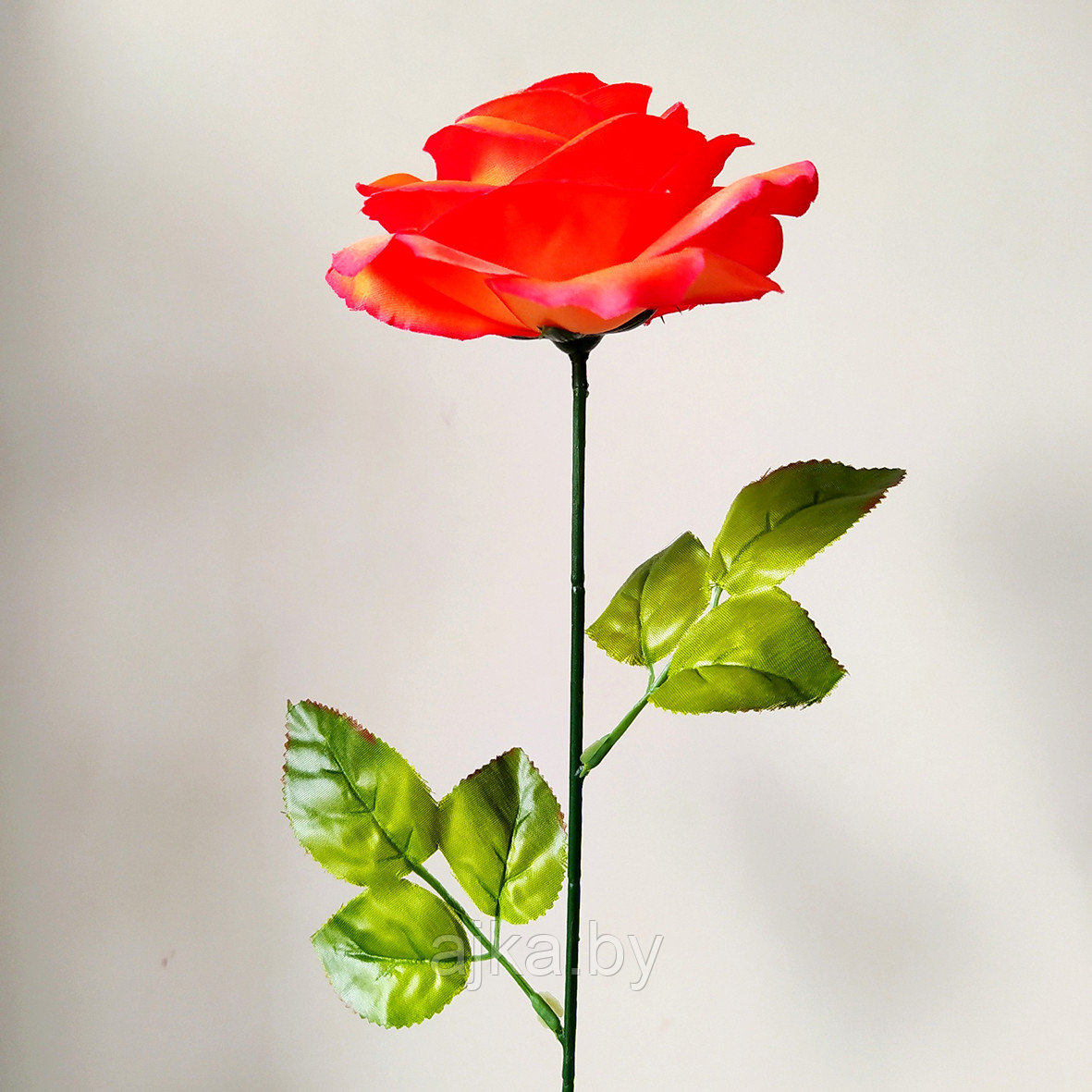Роза одиночная 65 см, ярко-красный - фото 2 - id-p226488037