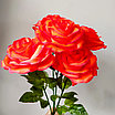Роза одиночная 65 см, ярко-красный, фото 7