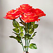 Роза одиночная 65 см, ярко-красный, фото 4