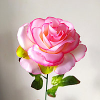 Роза одиночная 65 см, розовый