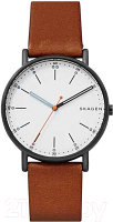 Часы наручные мужские Skagen SKW6374