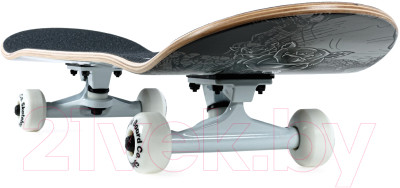 Скейтборд Plank Infinity P23-SKATE-INFINITY - фото 7 - id-p226490254