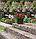 Цветочный горшок Octavia 38 cm, черный, фото 6