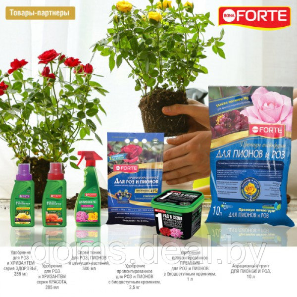 Удобрение Bona Forte концентрированное жидкое для Роз и хризантем, 1,5л Bona Forte удобрение для Роз и - фото 3 - id-p224374549