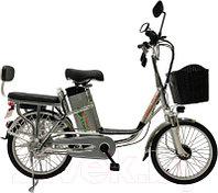 Электровелосипед Green Camel Транк 20 V8 DD R20 250W 60V 20Ah