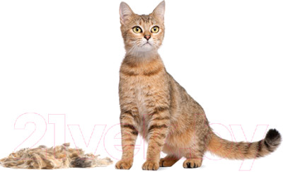 Фурминатор для животных FURminator Cat Undercoat M/L Short Hair 12 YA - фото 3 - id-p226533029