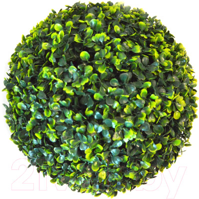 Искусственное растение Green Fly Самшит Классик / С-10-28 - фото 1 - id-p226536167