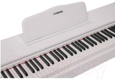 Цифровое фортепиано Aramius API-120 MWH - фото 3 - id-p226474918
