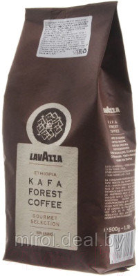 Кофе в зернах Lavazza Kafa Forest Coffee 100% Arabica - фото 1 - id-p226567742
