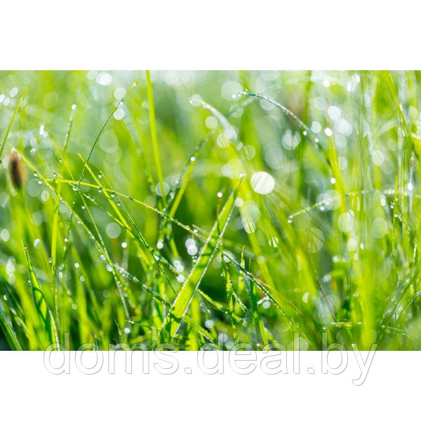 Весеннее удобрение для газона Fertika, 5 кг Fertika удобрение для газонов - фото 2 - id-p213915570