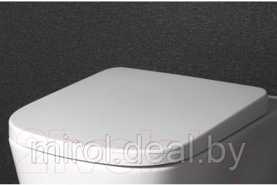Сиденье для унитаза BelBagno BB120SC - фото 4 - id-p226586085