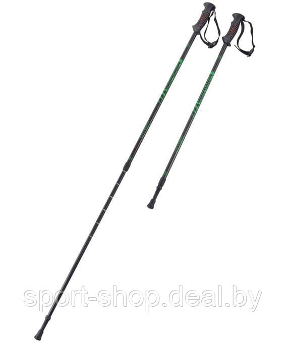 Скандинавские палки Oxygen, 77-135 см, 2-секционные, черный/зеленый, палки для скандинавской ходьбы