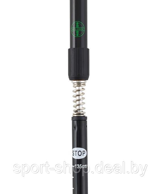Скандинавские палки Oxygen, 77-135 см, 2-секционные, черный/зеленый, палки для скандинавской ходьбы - фото 4 - id-p226609409