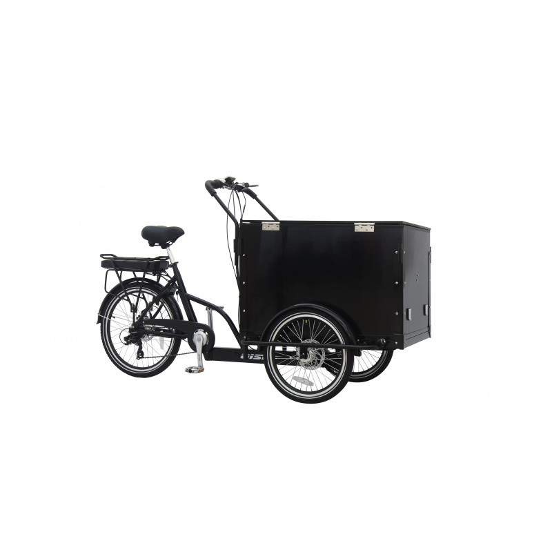 Электровелосипед Aist e-Cargo (2021) черный - фото 1 - id-p226613832