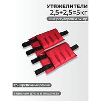 Утяжелитель 5 кг (2,5+2,5 кг) красный