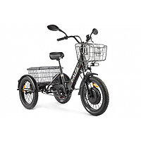 Электровелосипед GREEN CITY e-ALFA Trike (трицикл), черный