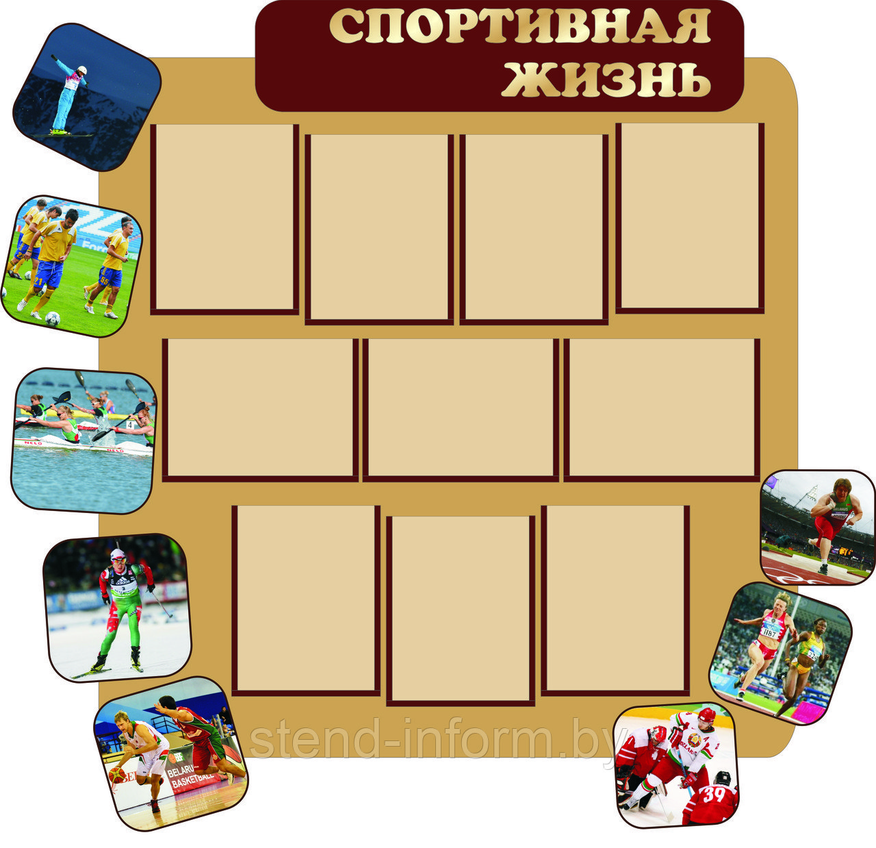 Стенд Cпортивная жизнь (р-р 100*120 см ) на пластике с карманами А4 формата