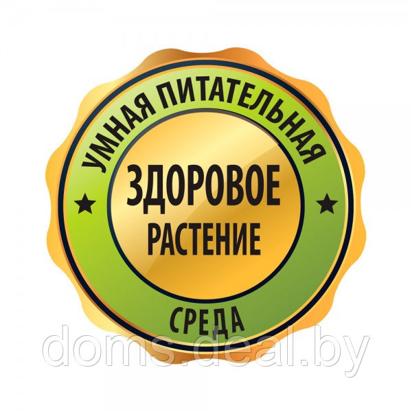 Питательный ионитный субстрат Цион для цветов (полимерный контейнер, 700 г) Zion Цион - фото 3 - id-p215319289