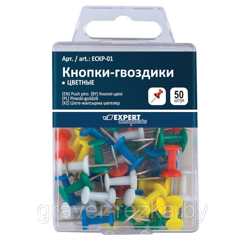 Кнопки-гвоздики Expert Complete ECKP-01