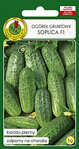 Семена Огурец Соплица F1 PNOS (5 гр) Польша