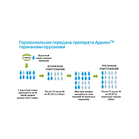 Адвион Advion Cockroach гель для уничтожения тараканов, картридж 30 г, фото 2