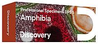 Набор микропрепаратов Discovery Prof DPS 5. «Амфибия»