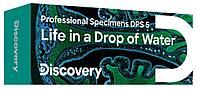 Набор микропрепаратов Discovery Prof DPS 5. «Жизнь в капле воды»