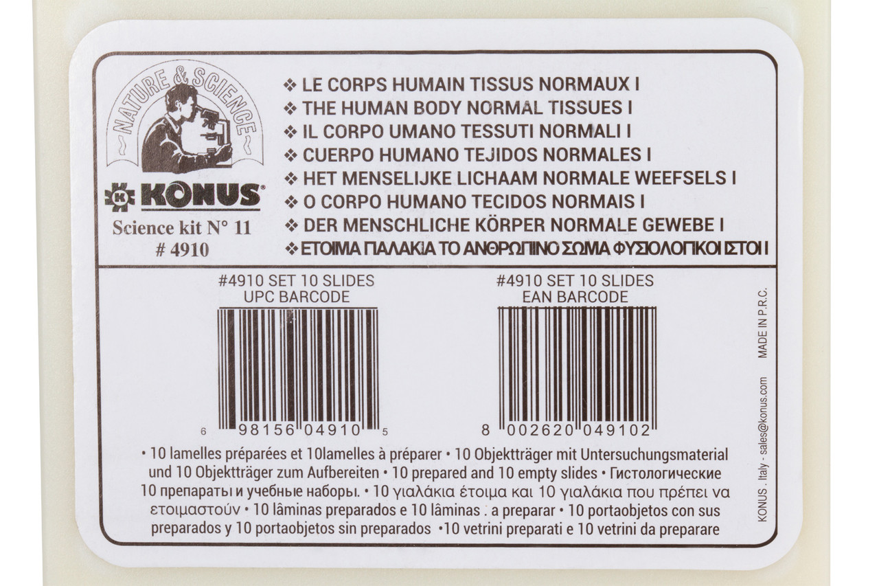Набор микропрепаратов Konus 10: «Человеческое тело. Норма» - фото 8 - id-p226633075