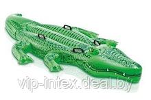 INTEX 58562 Плотик Крокодил 203*114
