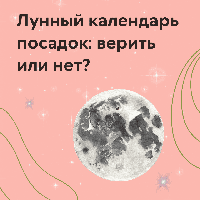 Лунный календарь посадок: верить или нет?