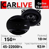 Акустическая система автомобильная Carlive TS-A1095 10см, мощность 500w, в комплекте (2шт)