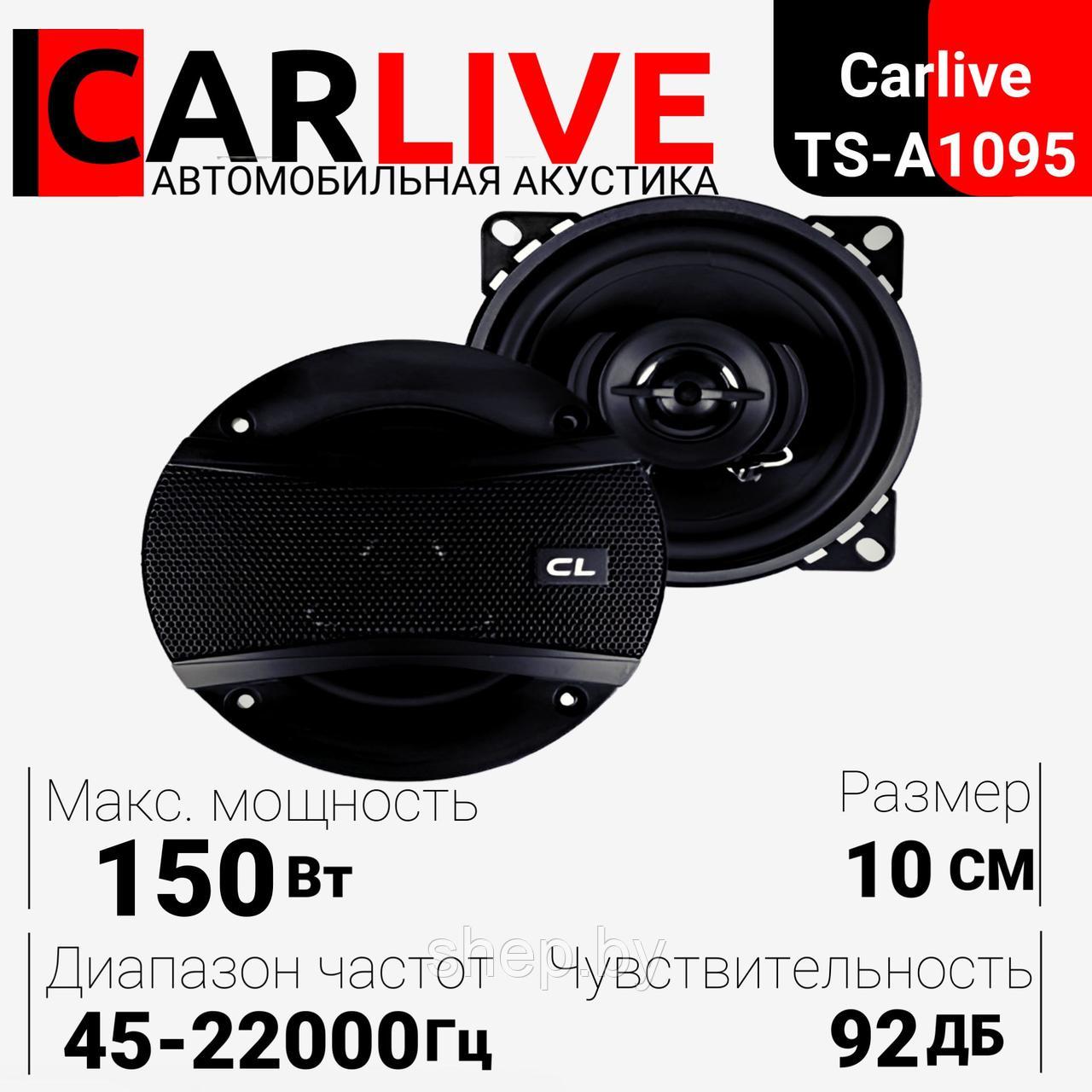 Акустическая система автомобильная Carlive TS-A1095 10см, мощность 500w, в комплекте (2шт) - фото 1 - id-p195604123