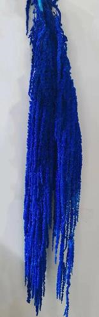 Амарантус стабилизированный, длина 90-110 см, 5 шт. королевский синий