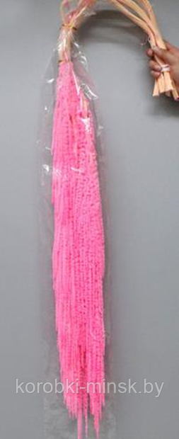 Амарантус стабилизированный, длина 90-110 см, 5 шт. розовый