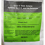 Семена газона DSV Special Deluxe ДСВ Специальная Делюкс, Германия (весовые), фото 3