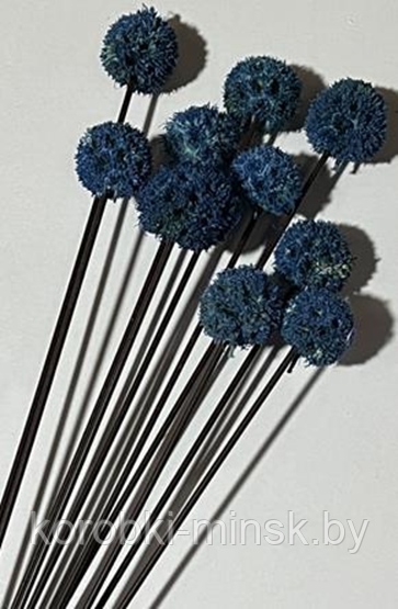 Сухоцвет "Ликвидамбара" 10 шт/упак. Синий
