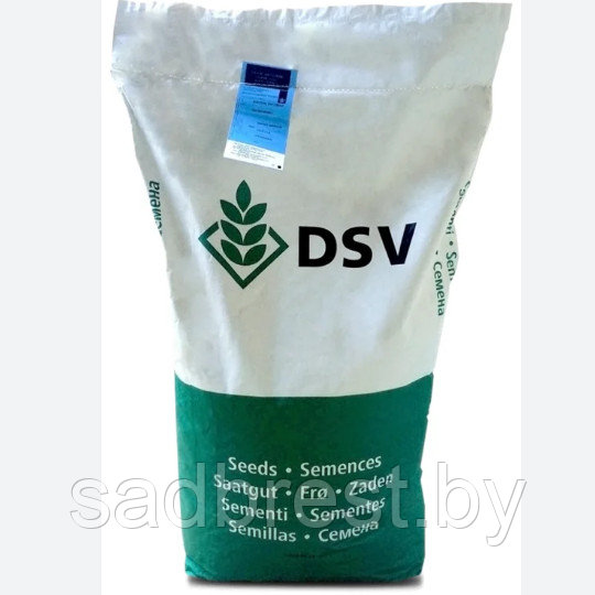Семена райграса пастбишного Старфаер Starfire ДСВ DSV (Дания) весовые