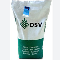 Семена райграса пастбишного Старфаер Starfire ДСВ DSV (Дания) весовые