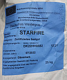 Семена райграса пастбишного Старфаер Starfire ДСВ DSV (Дания) весовые, фото 2