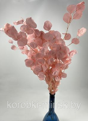 Сухоцвет "Эвкалипт Цинерия" стабилизированный длина 70-75см (100 гр/уп) Розовый
