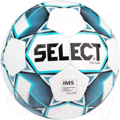 Футбольный мяч Select Team Basic V23 / 0865546002-002 - фото 1 - id-p226659650